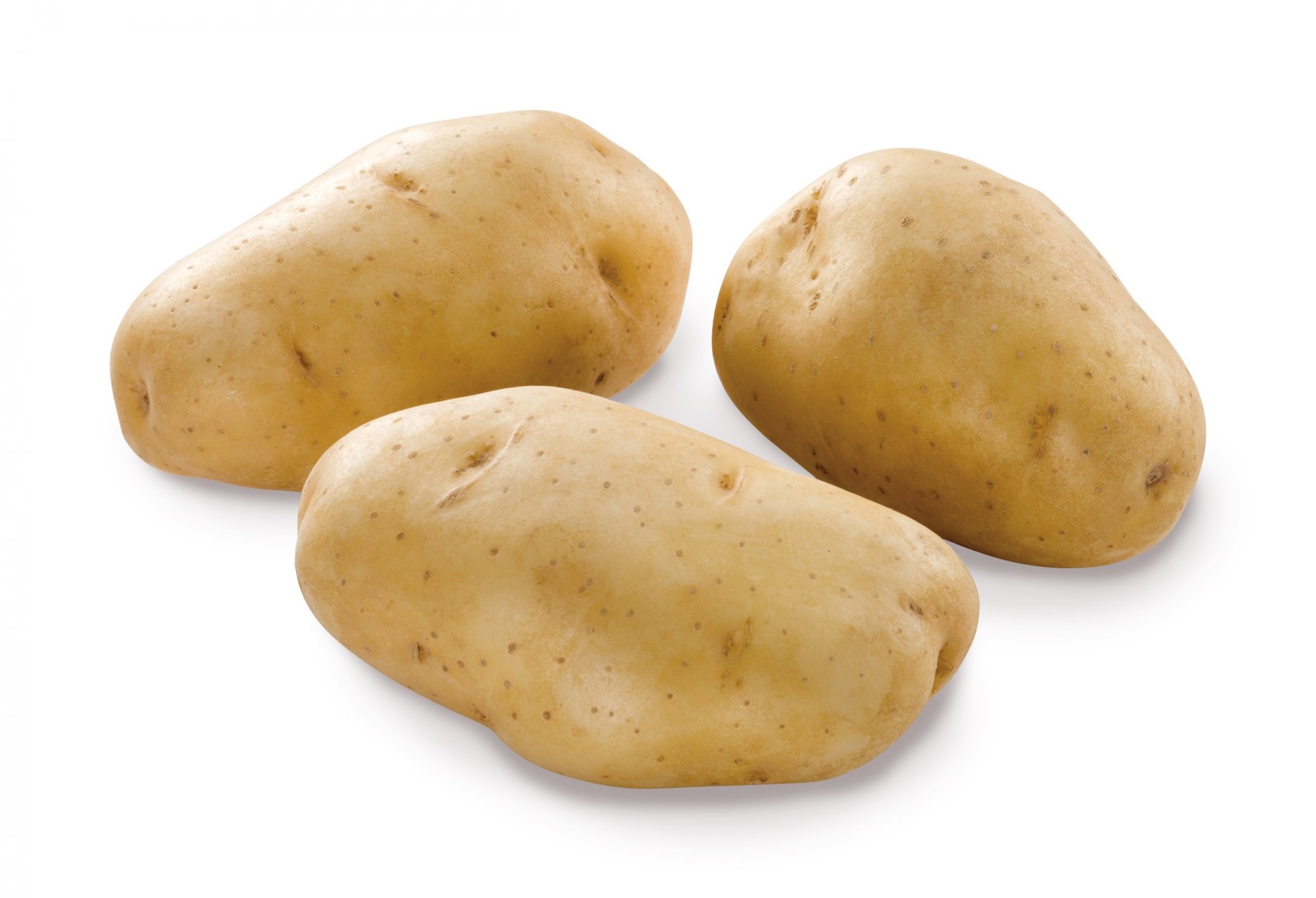 groentenenfruittcarootje Pomme de terre 'Bintje'