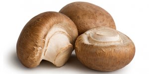 Kastanje champignon