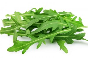 Rucola sla