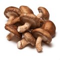 shiitake champignon