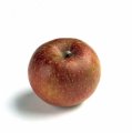 Boskoop of renet appel