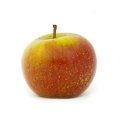 Cox appel